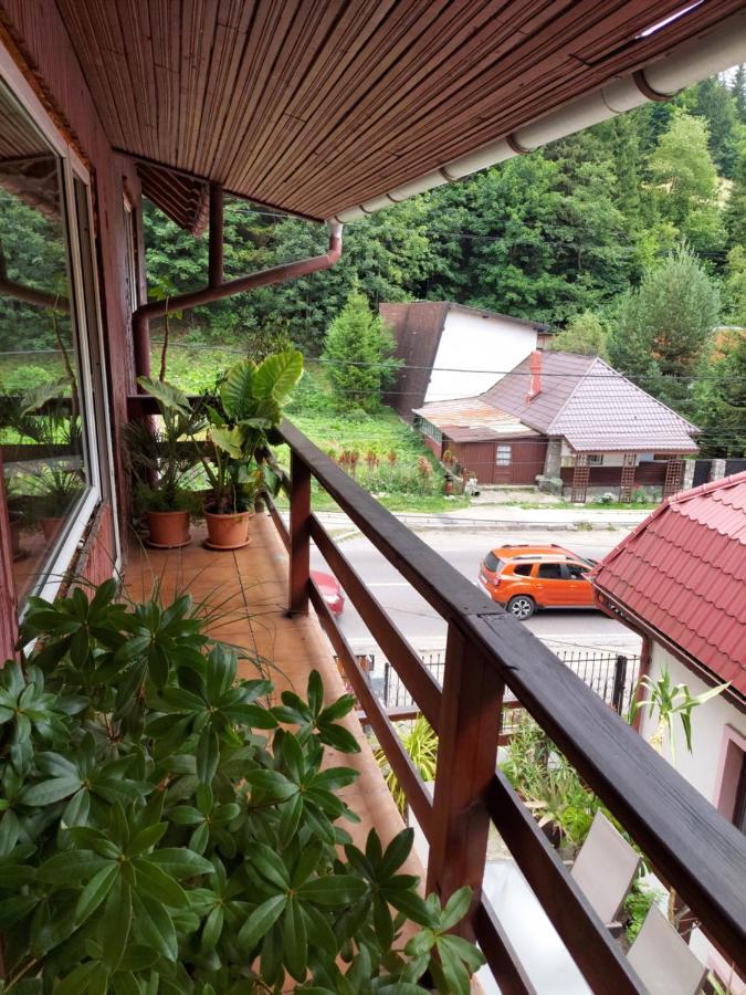 Pensiune Casa Barcaru Azuga Esterno foto